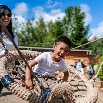 Boy on accessible swing